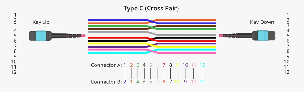 Type c Type c